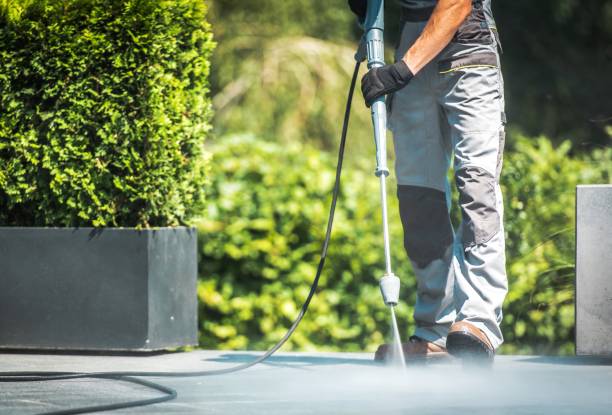 Best Dumpster Area Cleaning  in Soh Ogden, UT