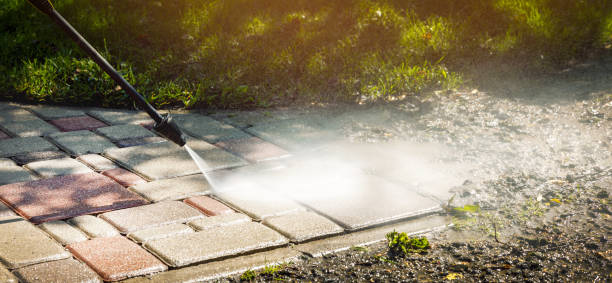 Best Fence Cleaning  in Soh Ogden, UT